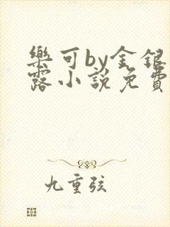 乐可by金银花露小说免费阅读封面