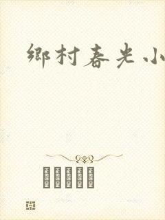 乡村春光小说