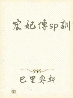 宸妃传sp训诫