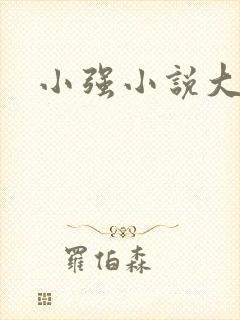 小强小说大全封面