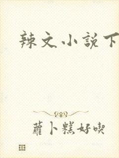 辣文小说下载