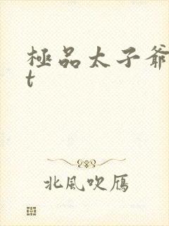 极品太子爷txt