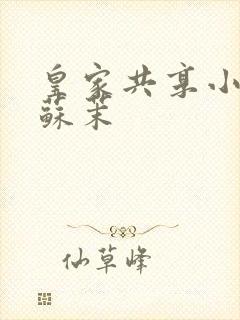 皇家共享小公主苏茉封面