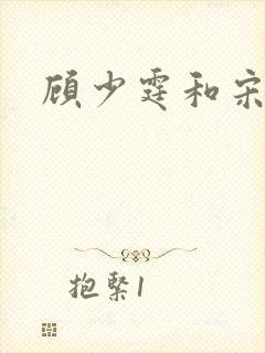 顾少霆和宋斯曼