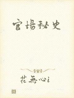 官场秘史