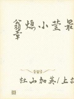 翁熄小莹最新节章
