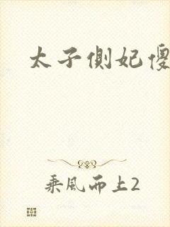 太子侧妃傻乎乎