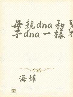 母亲dna和儿子dna一样不封面