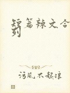 短篇辣文合集系列