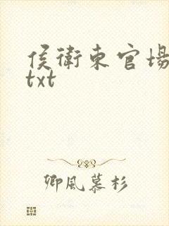 侯卫东官场笔记txt