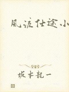 风流仕途小说封面