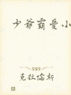 少爷霸爱小丫头