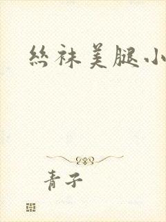 丝袜美腿小说