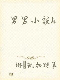 男男小说h