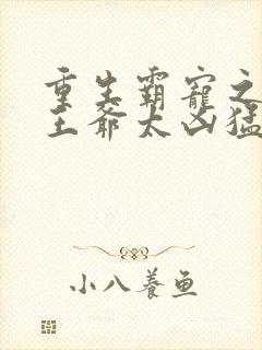 重生霸宠之摄政王爷太凶猛封面