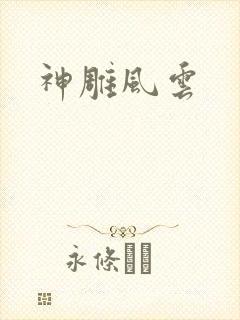 神雕风云