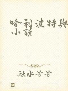 哈利波特与密室小说