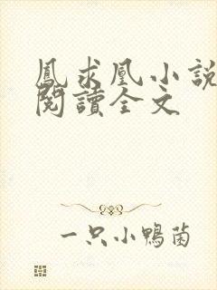 凤求凰小说免费阅读全文