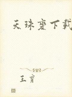 天珠变下载