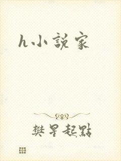 h小说家