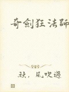 奇剑狂法师封面
