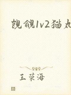觊觎1v2猫丸封面