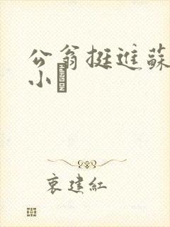 公翁挺进苏玥的小泬