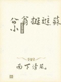 公翁挺进苏玥的小泬