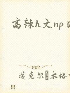 高辣h文np爽封面