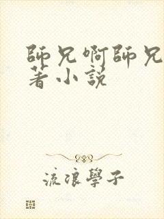 师兄啊师兄的原著小说