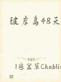 彼岸岛48天后封面