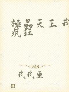 极品天王 我本疯狂
