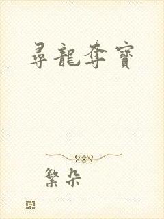 寻龙夺宝封面