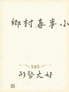 乡村春事小说封面
