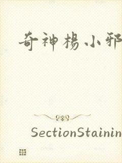 奇神杨小邪