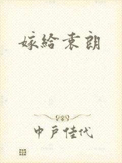 嫁给袁朗封面