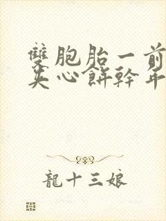 双胞胎一前一后夹心饼干年下