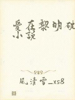 爱在黎明破晓前小说