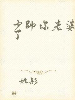 少帅你老婆又跑了封面