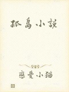 孤岛小说