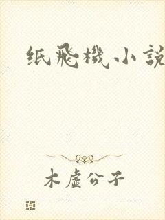 纸飞机小说