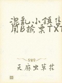 混乱小镇售票员用B检票TXT