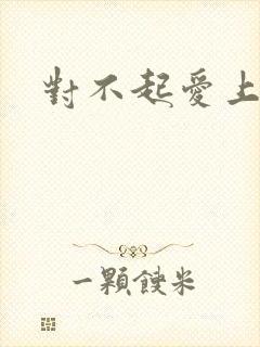 对不起爱上你