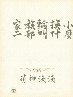 家族轮换小说第二部叫什么名字