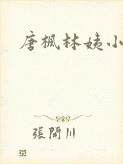 唐枫林姨小说