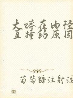 大蟒在内径横冲直撞的原因封面