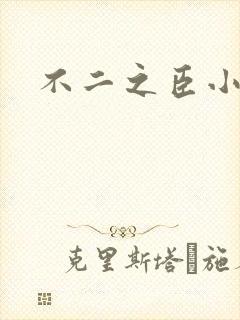不二之臣小说封面