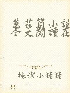 万花筒小说免费全文阅读在线