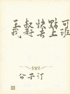 王叔快点可以吗我赶去上班