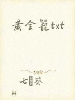 黄金笼txt
